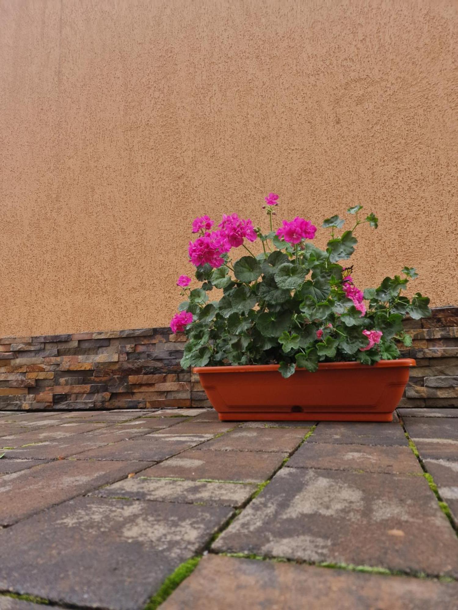 Apartament Casa Darya-24H Check-In Bukareszt Zewnętrze zdjęcie